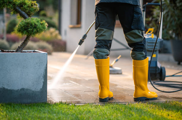 Best Pressure Washing Near Me  in Sea Bright, NJ